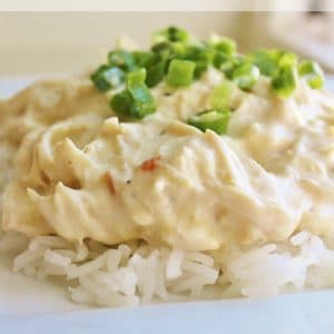 Plate of Italian Crockpot Chicken served over rice with green onions on top.