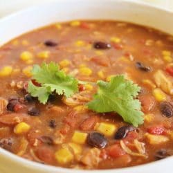 Up close view of a bowl of 8 Can Chicken Taco Soup with cilantro as garnish.