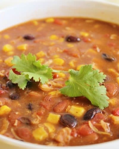 Up close view of a bowl of 8 Can Chicken Taco Soup with cilantro as garnish.