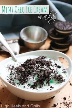 Mint Oreo Ice Cream in a Bag - 50 Ice Cream Recipes Roundup