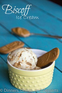 Biscoff Ice Cream - 50 Ice Cream Recipes Roundup