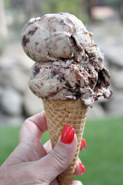Toasted Marshmallow Brownie Malt Ice Cream - 50 Ice Cream Recipes Roundup