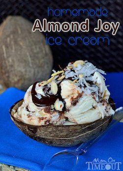 Homemade Almond Joy Ice Cream - 50 Ice Cream Recipes Roundup