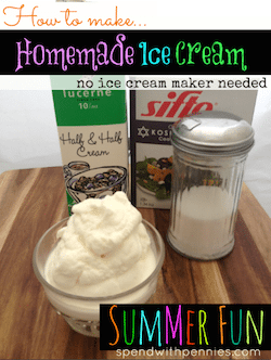 Vanilla Ice Cream in a Bag - 50 Ice Cream Recipes Roundup