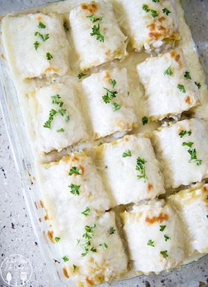 Chicken Alfredo Lasagna Rollups - 30 Minute Back to School Meals