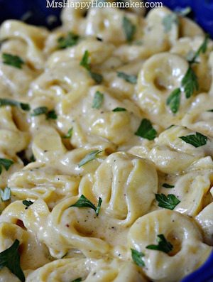 Roasted Garlic Alfredo Tortellini