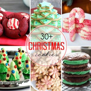 30+ Christmas Cookie Ideas