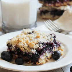 Blueberry Crumb Bars